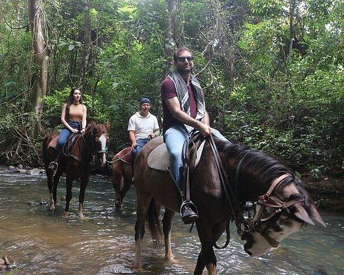 Las mejores Notarias en Cerro Azul para gestiones rápidas y confiables en Panamá 1 Las Mejores Notarías en Cerro Azul Panamá: Trámites Rápidos y Confiables