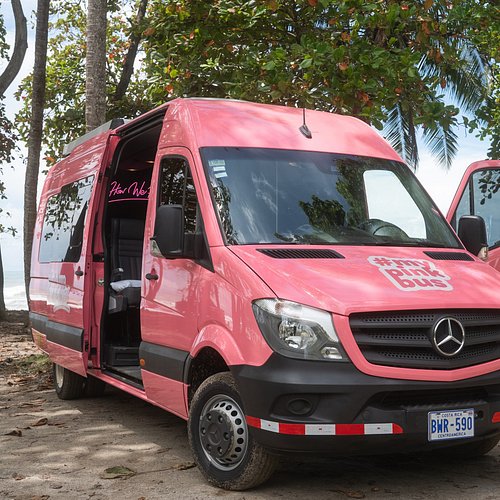 Opinión de Pedasi Services: Servicios y Experiencias Destacadas